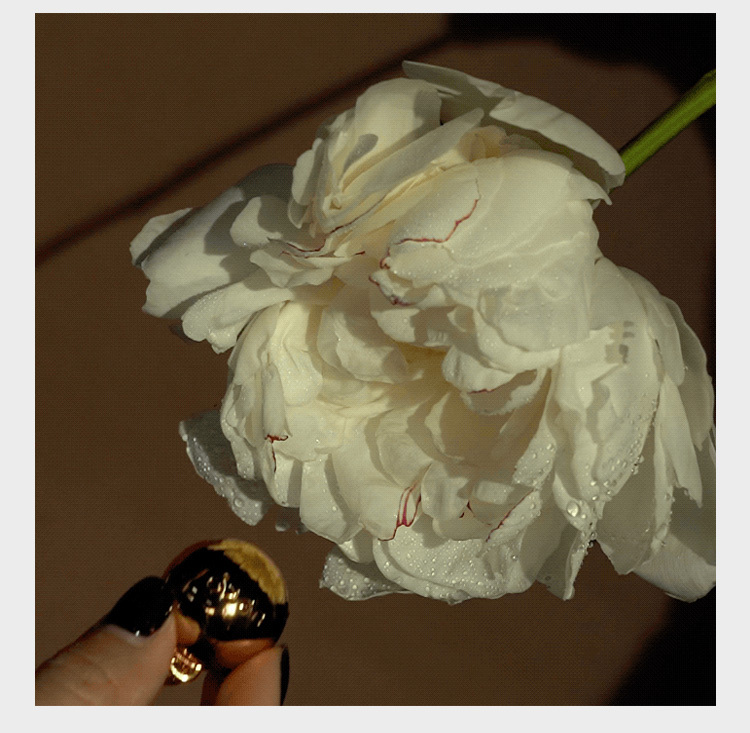 UPKO,義大利 UPKO,UPKO 一字手腳撐桿組,調教時尚,調教,調教扮演,BDSM,SM,親密關係,格雷,角色扮演,捆綁,禮物,繩縛,束縛,綁帶,口球,手拍,頸圈,項圈,牽引鏈,手銬,腳銬,馬鞭