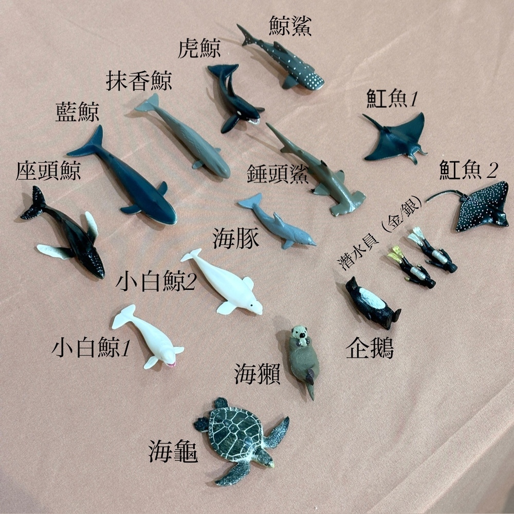 海浪字母存錢筒海洋生物模型