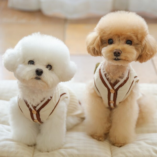 ba&ttang 學院風針織洋裝