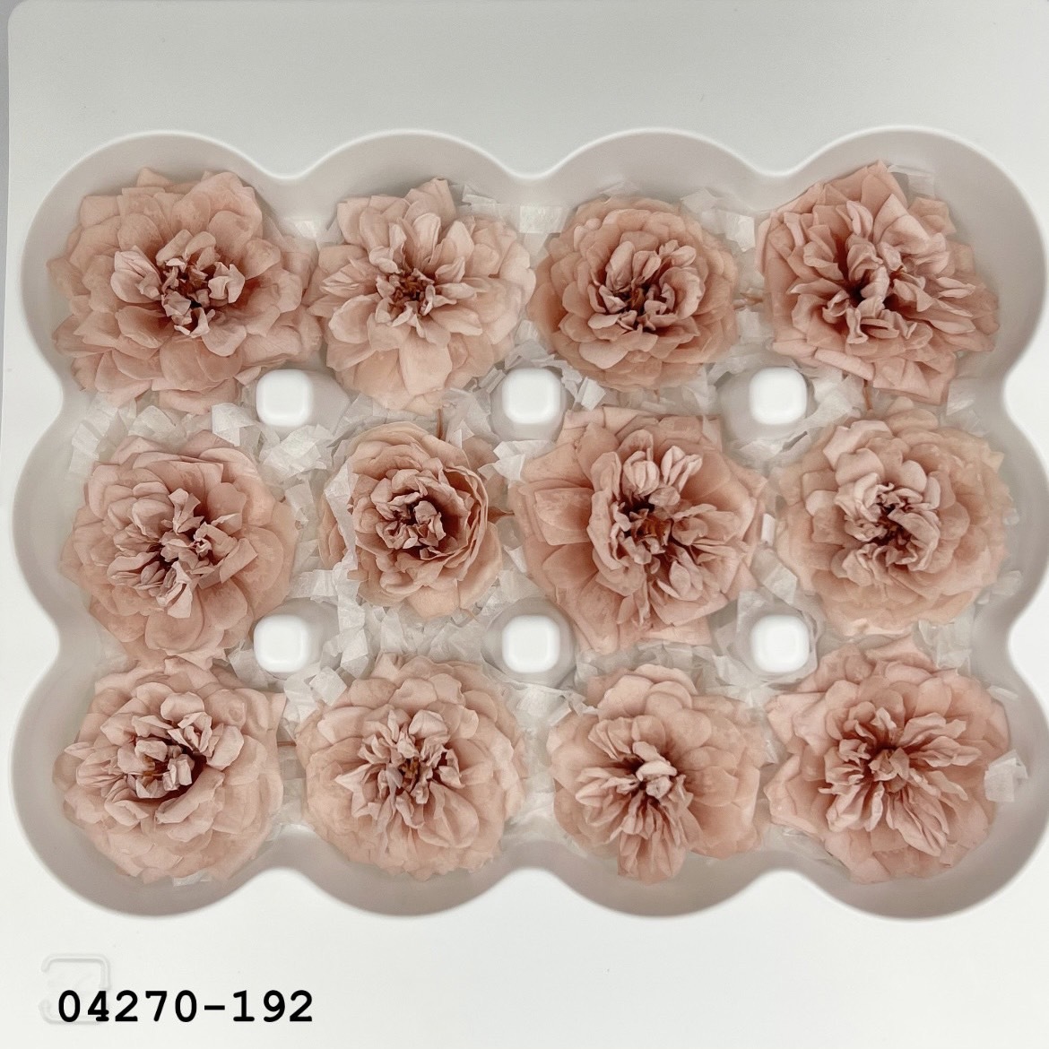 不凋重辦薔薇玫瑰 (12朵) 04270-192