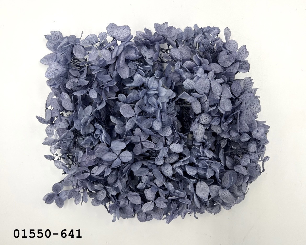 不凋中葉繡球 01550-641