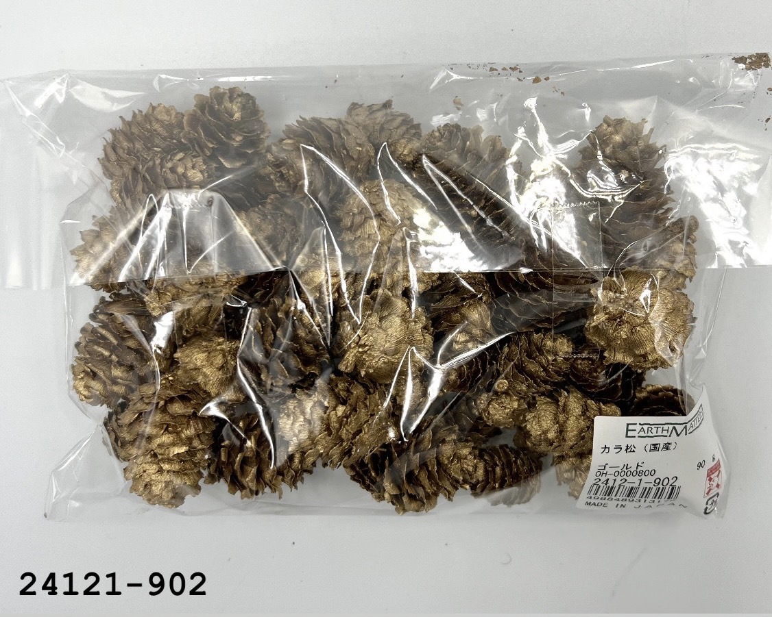 日本乾燥落羽松松果 24121-902