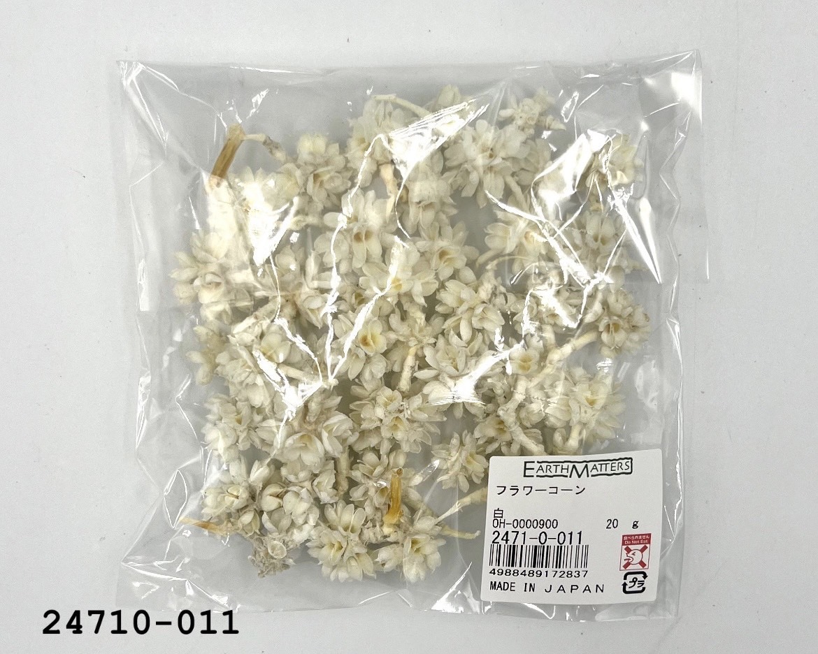 日本花核果 24710-011