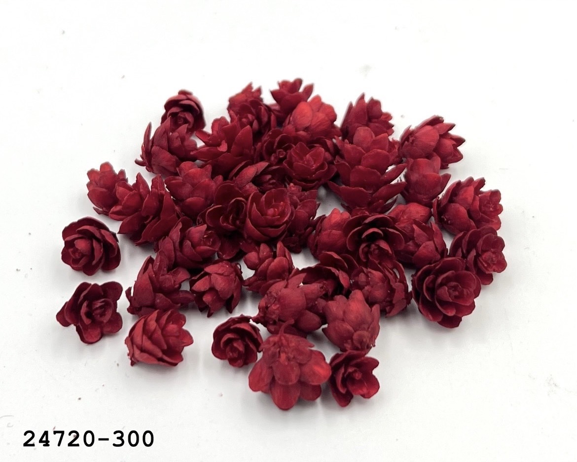 日本小松果 24720-300