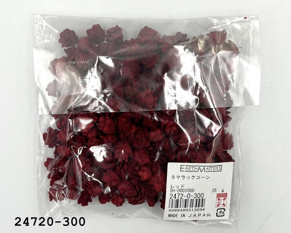 日本小松果 24720-300