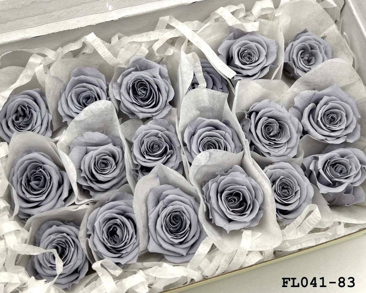 日本不凋小輪玫瑰 (18朵) FL041-83