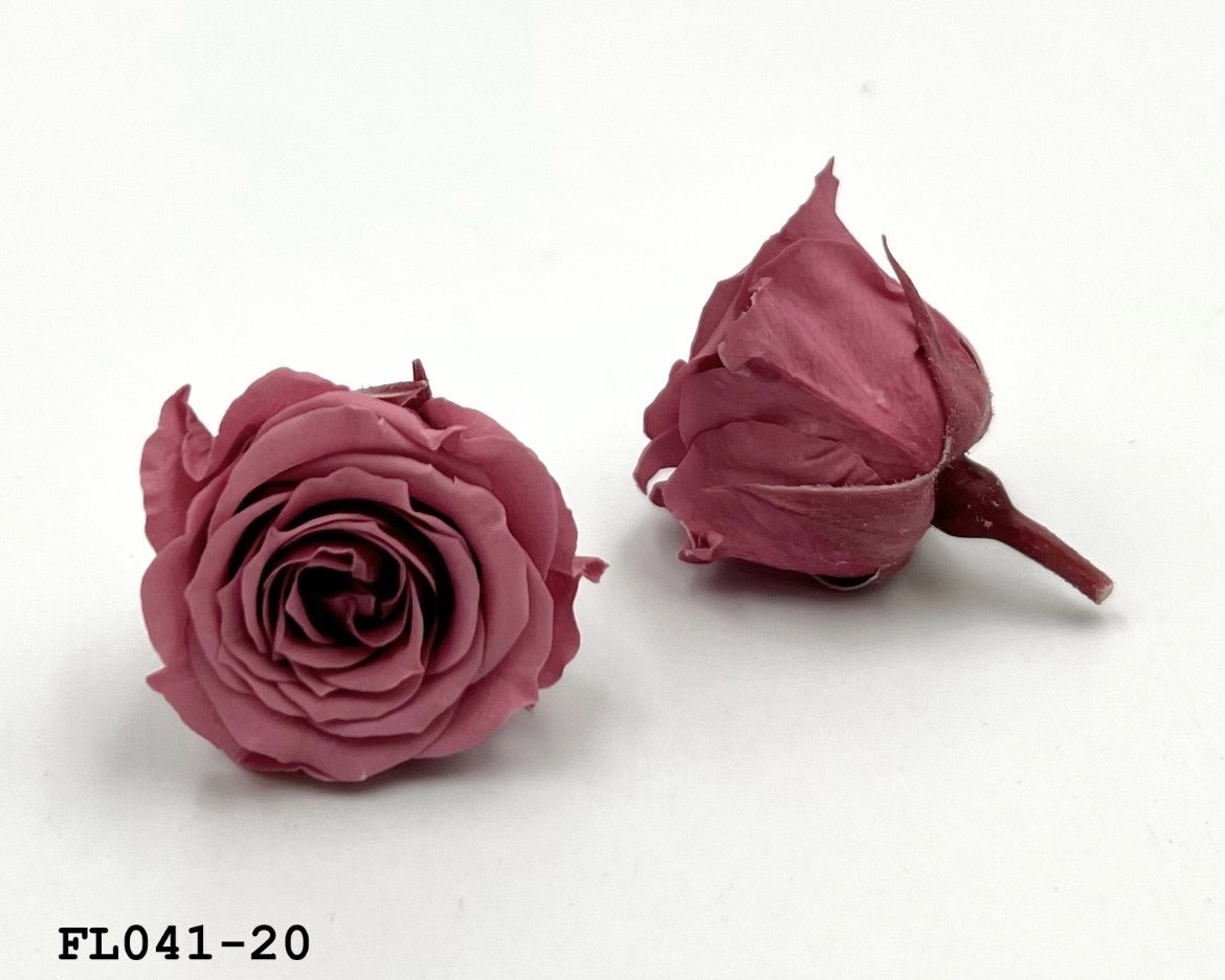 日本不凋小輪玫瑰 (18朵) FL041-20