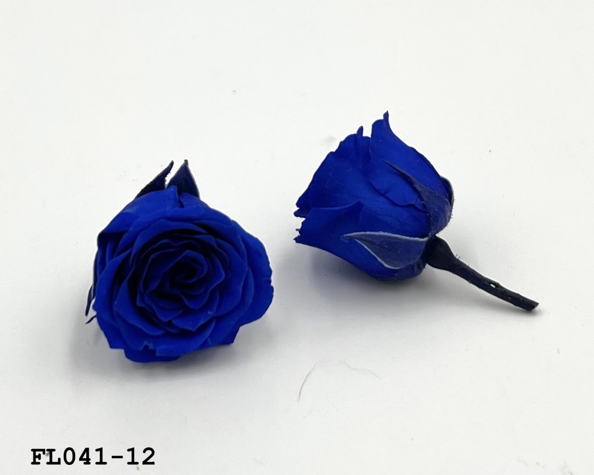 日本不凋小輪玫瑰 (18朵) FL041-12