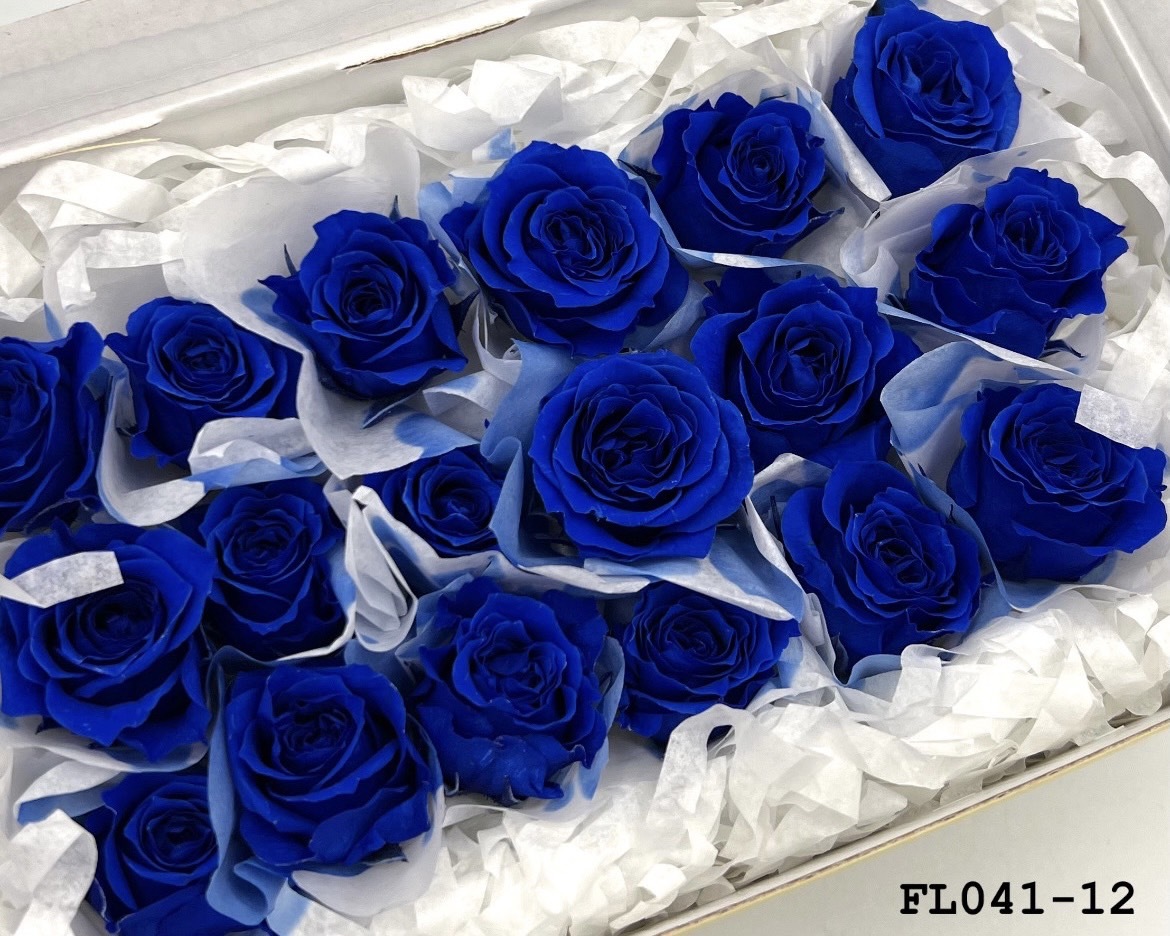 日本不凋小輪玫瑰 (18朵) FL041-12