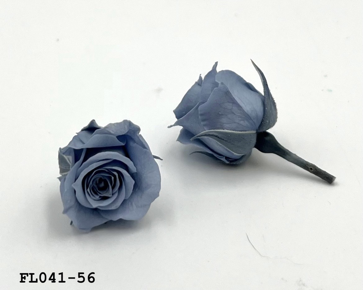 日本不凋小輪玫瑰 (18朵) FL041-56