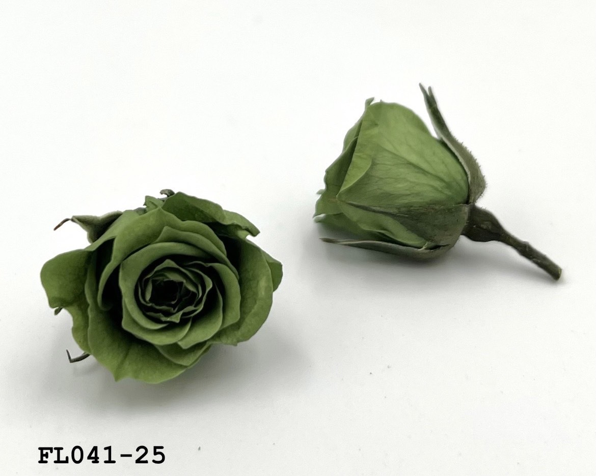 日本不凋小輪玫瑰 (18朵) FL041-25