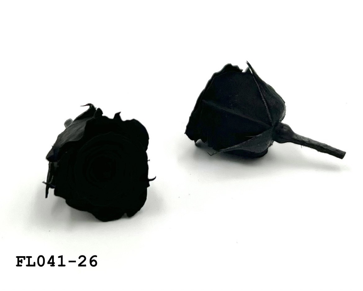 日本不凋小輪玫瑰 (18朵) FL041-26