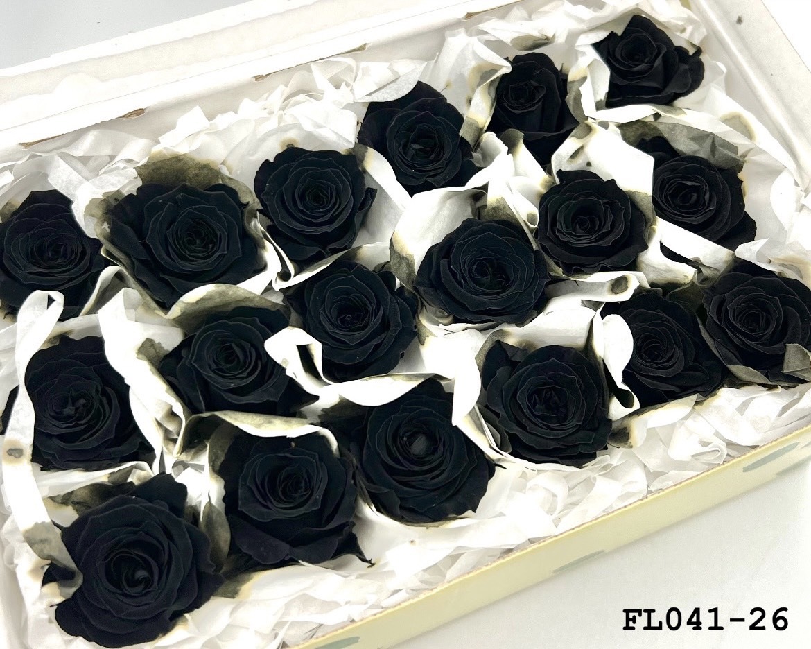 日本不凋小輪玫瑰 (18朵) FL041-26