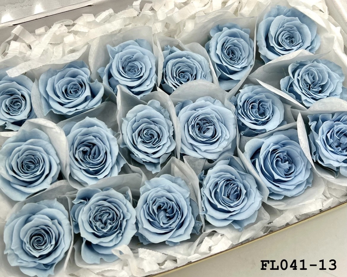 日本不凋小輪玫瑰 (18朵) FL041-13