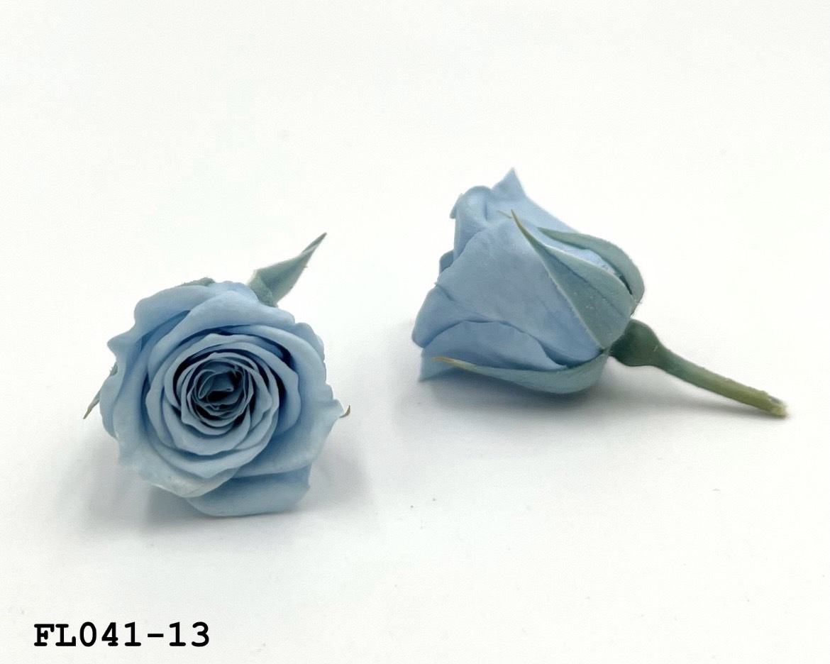 日本不凋小輪玫瑰 (18朵) FL041-13