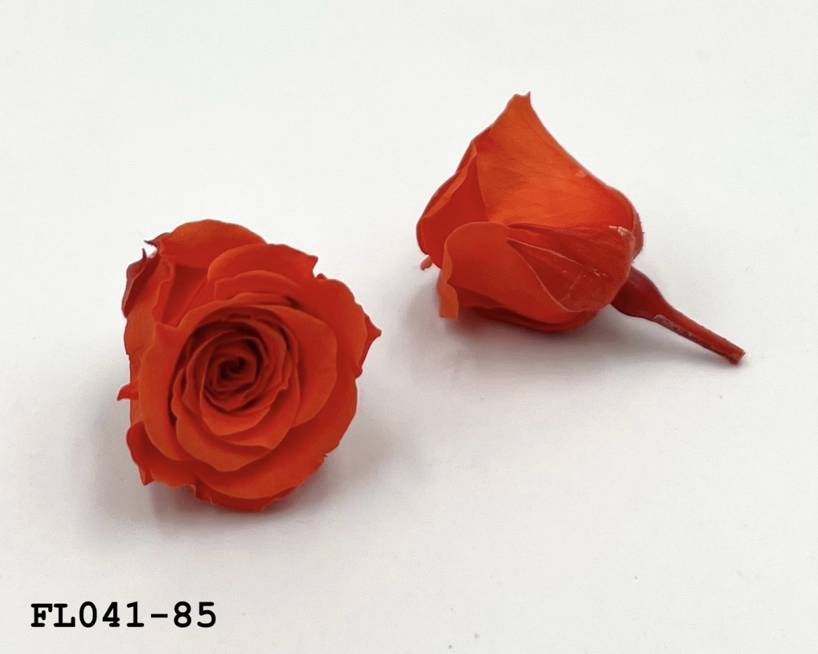 日本不凋小輪玫瑰 (18朵) FL041-85