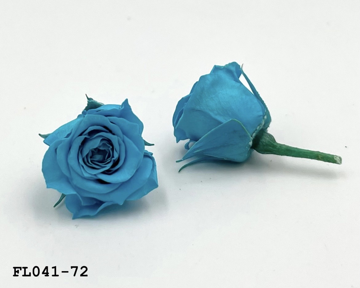 日本不凋小輪玫瑰 (18朵) FL041-72