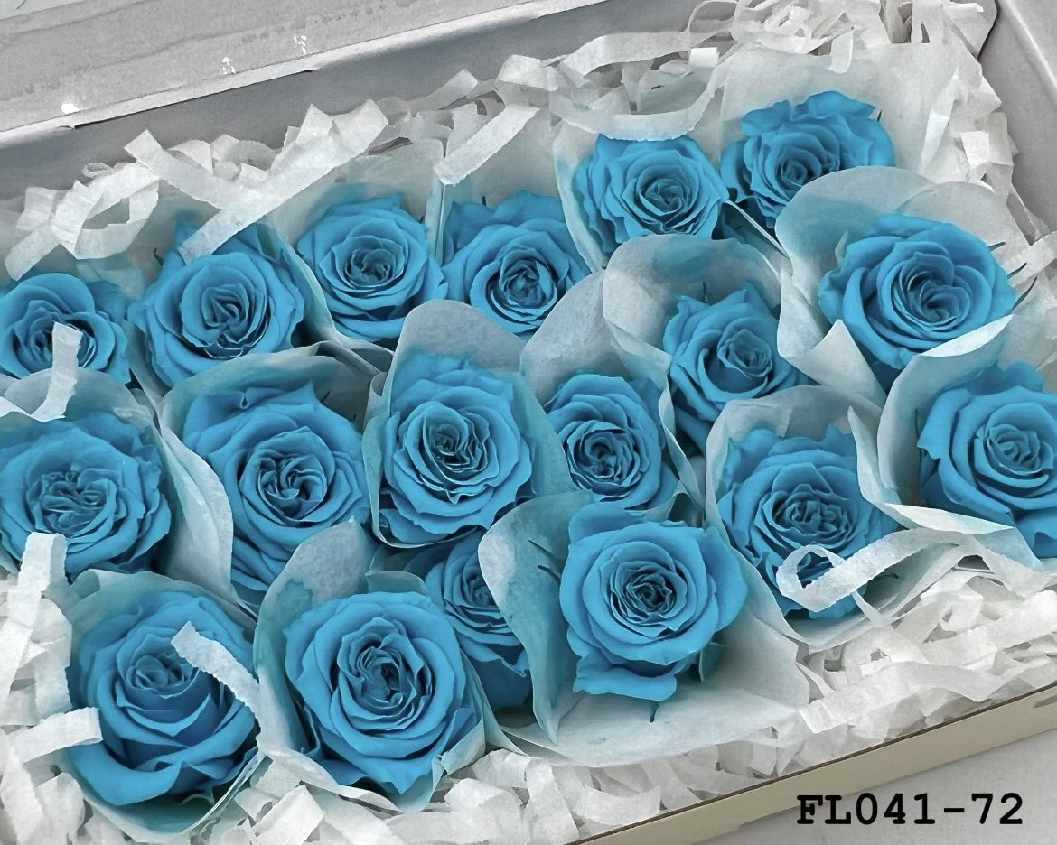 日本不凋小輪玫瑰 (18朵) FL041-72