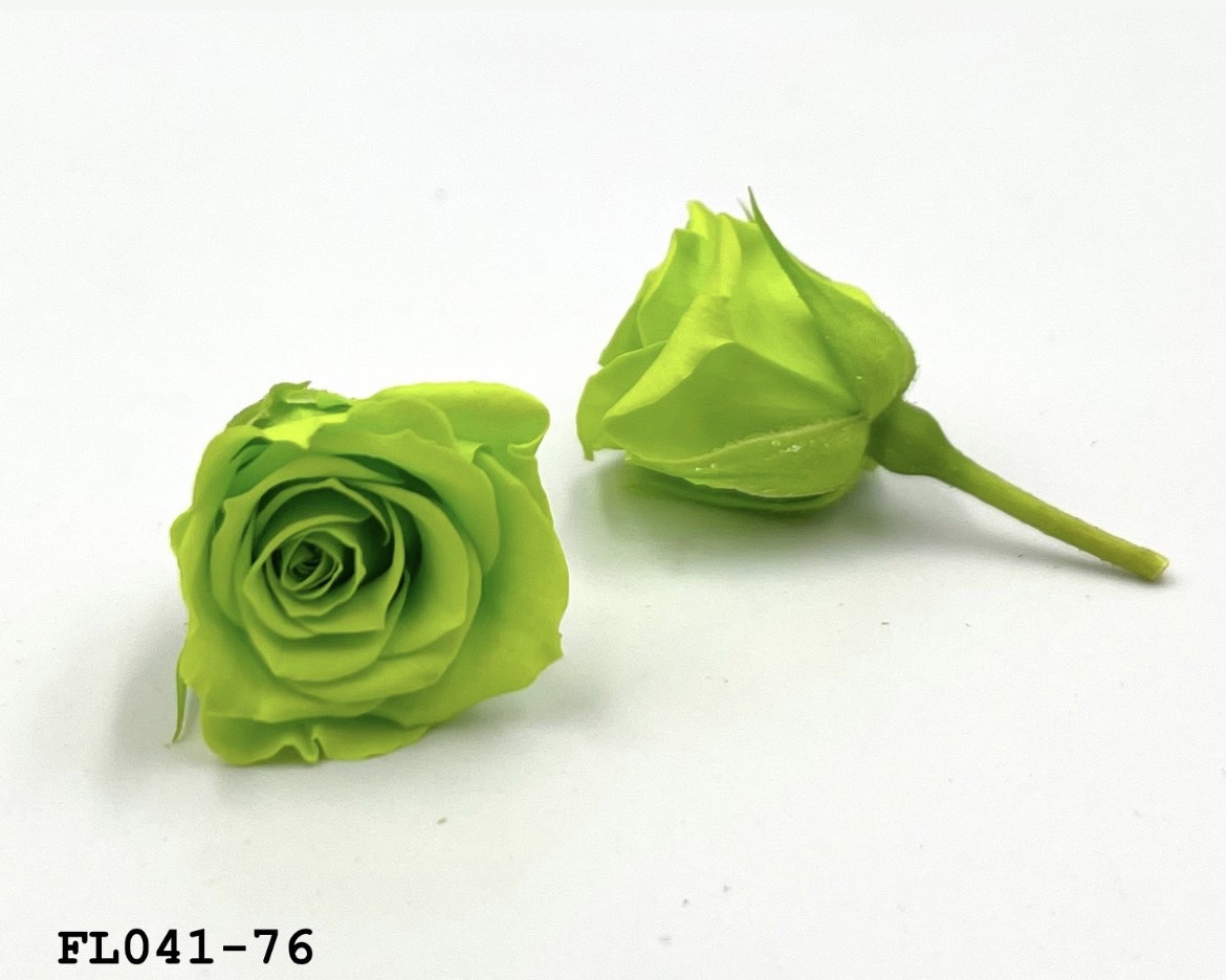 日本不凋小輪玫瑰 (18朵) FL041-76