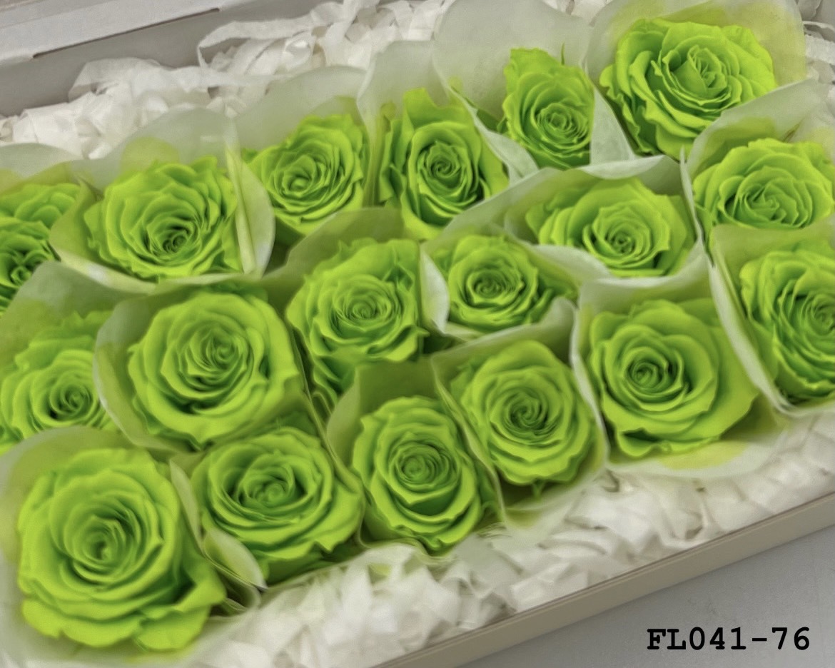 日本不凋小輪玫瑰 (18朵) FL041-76