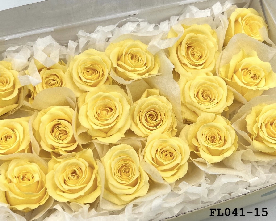 日本不凋小輪玫瑰 (18朵) FL041-15