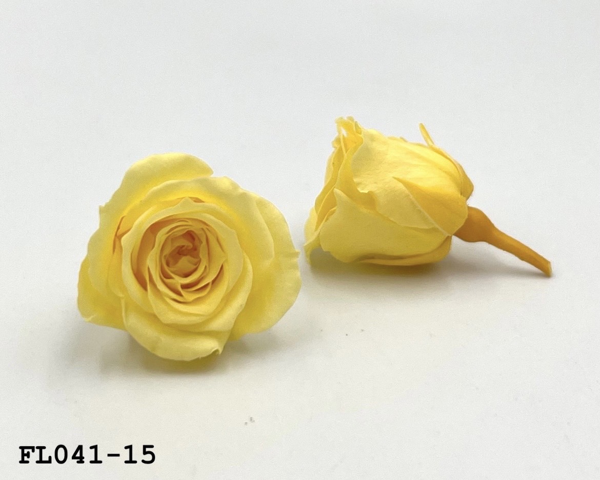 日本不凋小輪玫瑰 (18朵) FL041-15