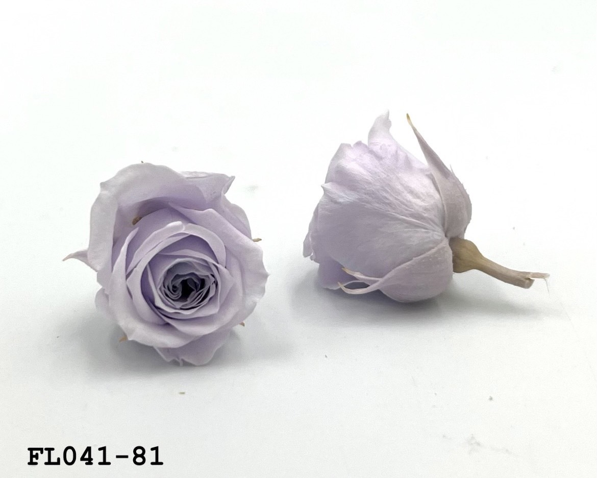 日本不凋小輪玫瑰 (18朵) FL041-81