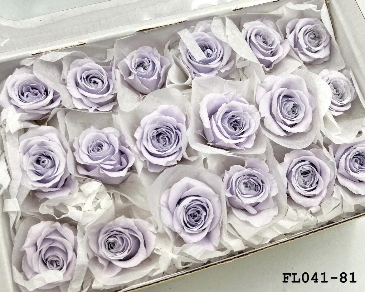 日本不凋小輪玫瑰 (18朵) FL041-81