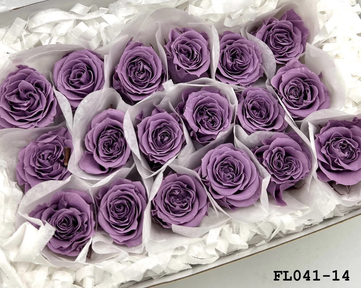 日本不凋小輪玫瑰 (18朵) FL041-14