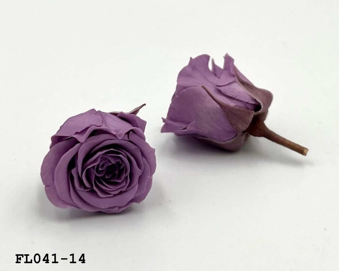 日本不凋小輪玫瑰 (18朵) FL041-14