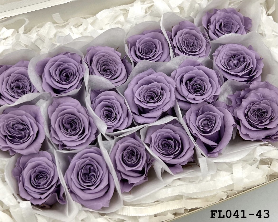 日本不凋小輪玫瑰 (18朵) FL041-43