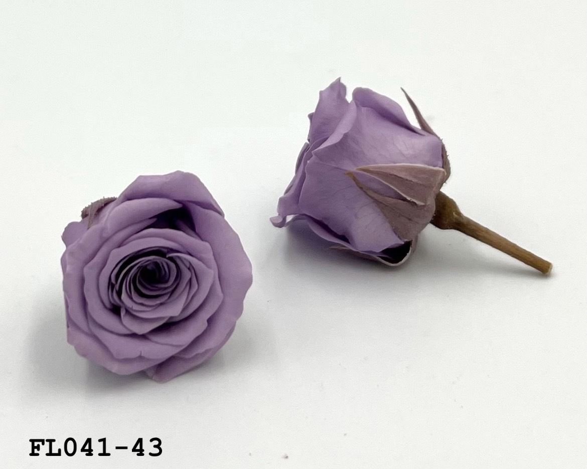 日本不凋小輪玫瑰 (18朵) FL041-43