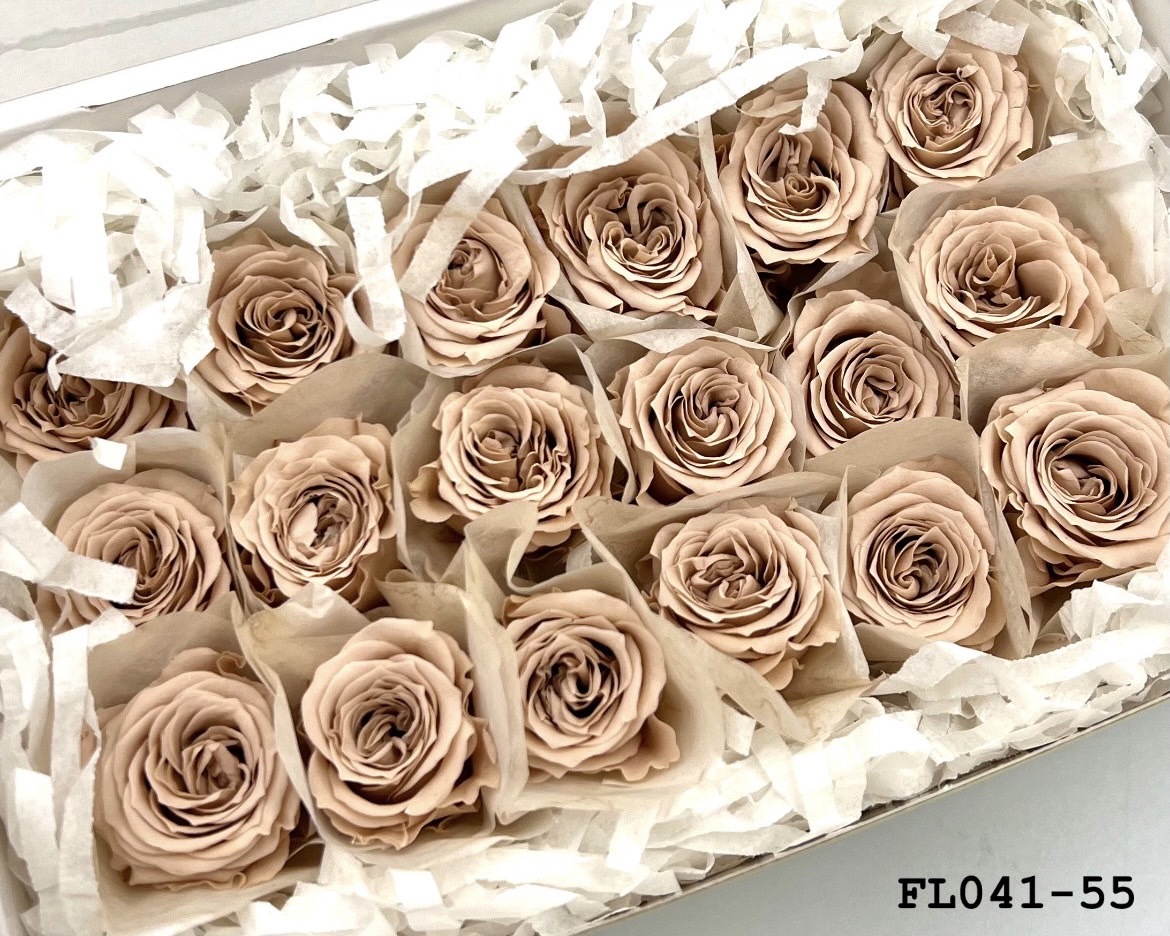 日本不凋小輪玫瑰 (18朵) FL041-55