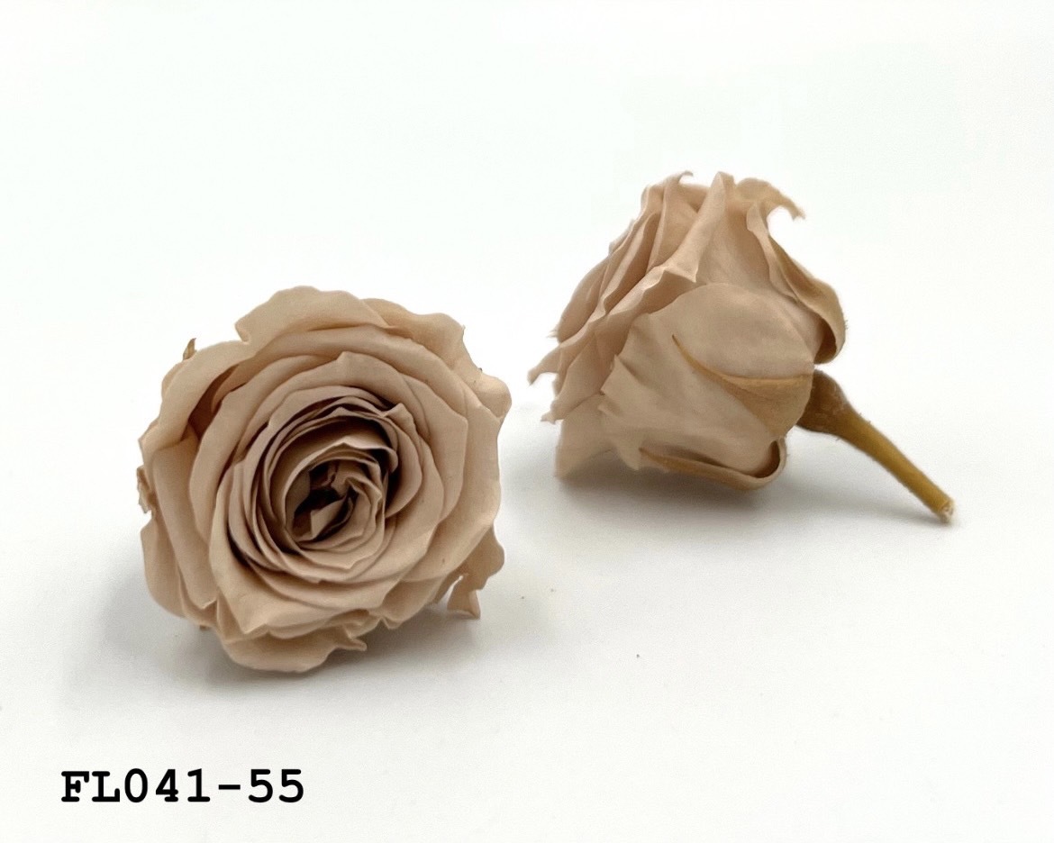 日本不凋小輪玫瑰 (18朵) FL041-55