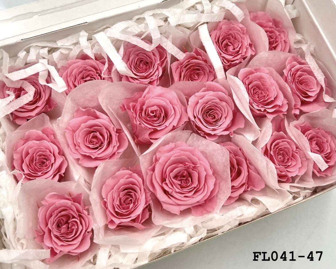 日本不凋小輪玫瑰 (18朵) FL041-47