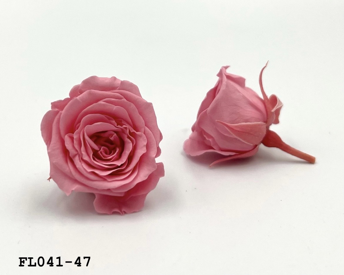 日本不凋小輪玫瑰 (18朵) FL041-47