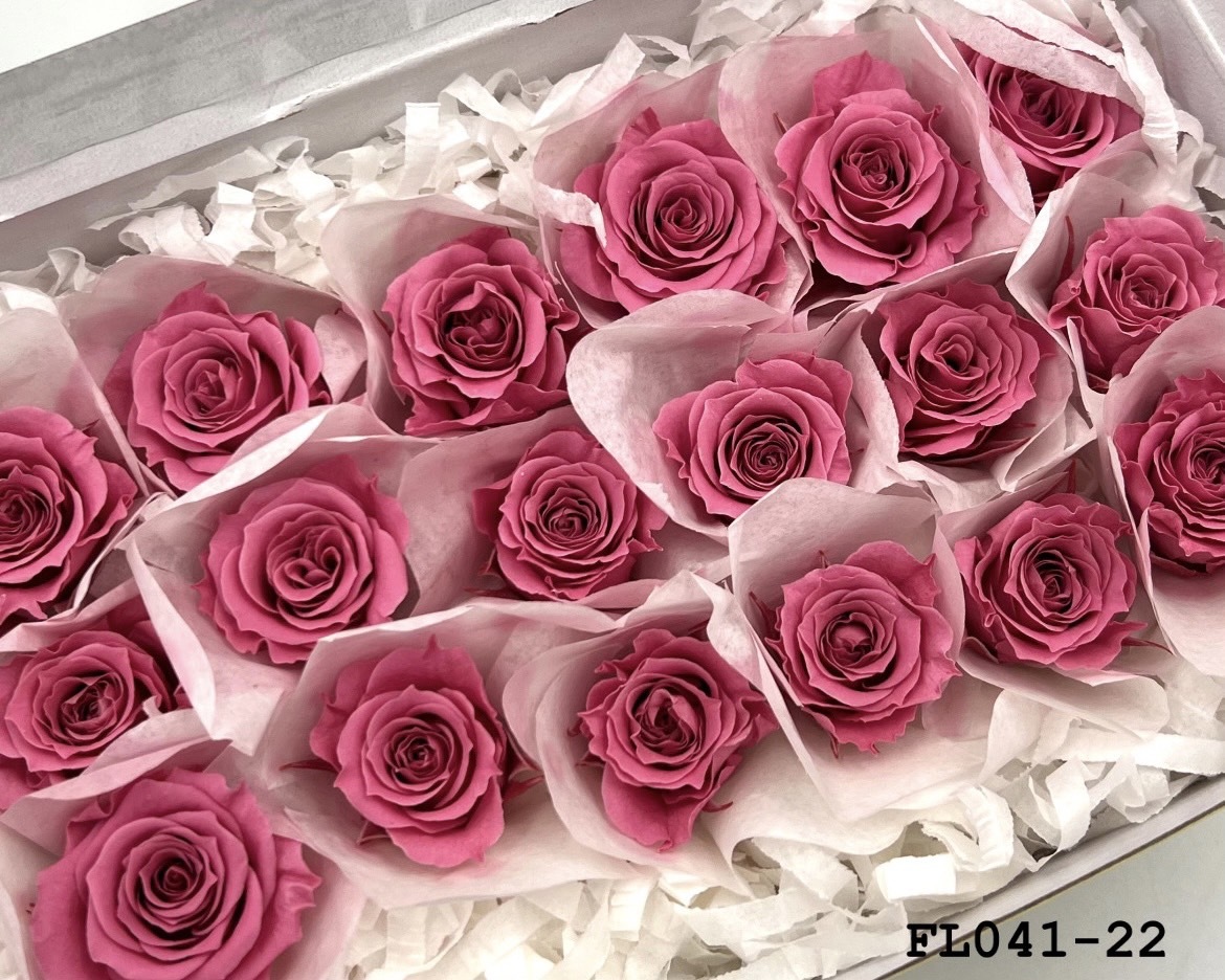 日本不凋小輪玫瑰 (18朵) FL041-22