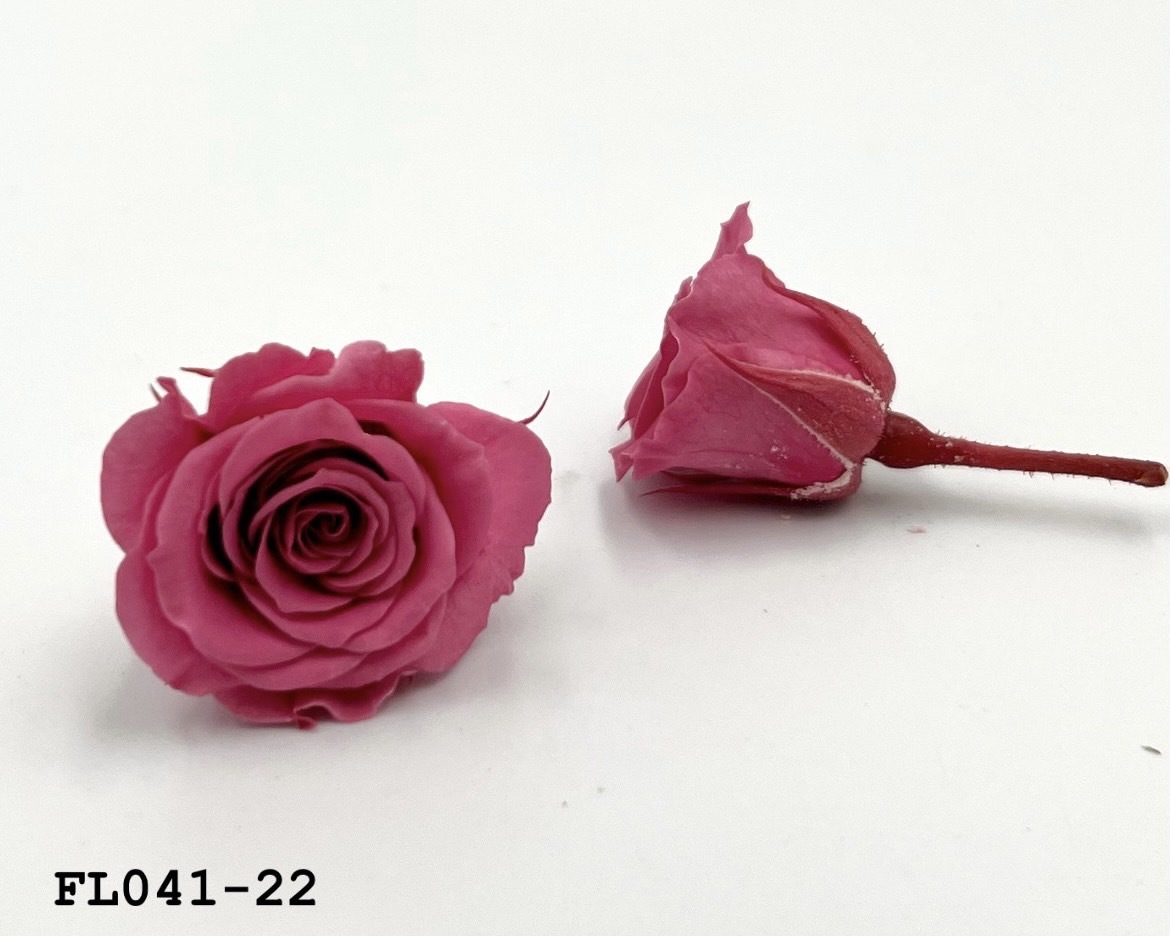 日本不凋小輪玫瑰 (18朵) FL041-22