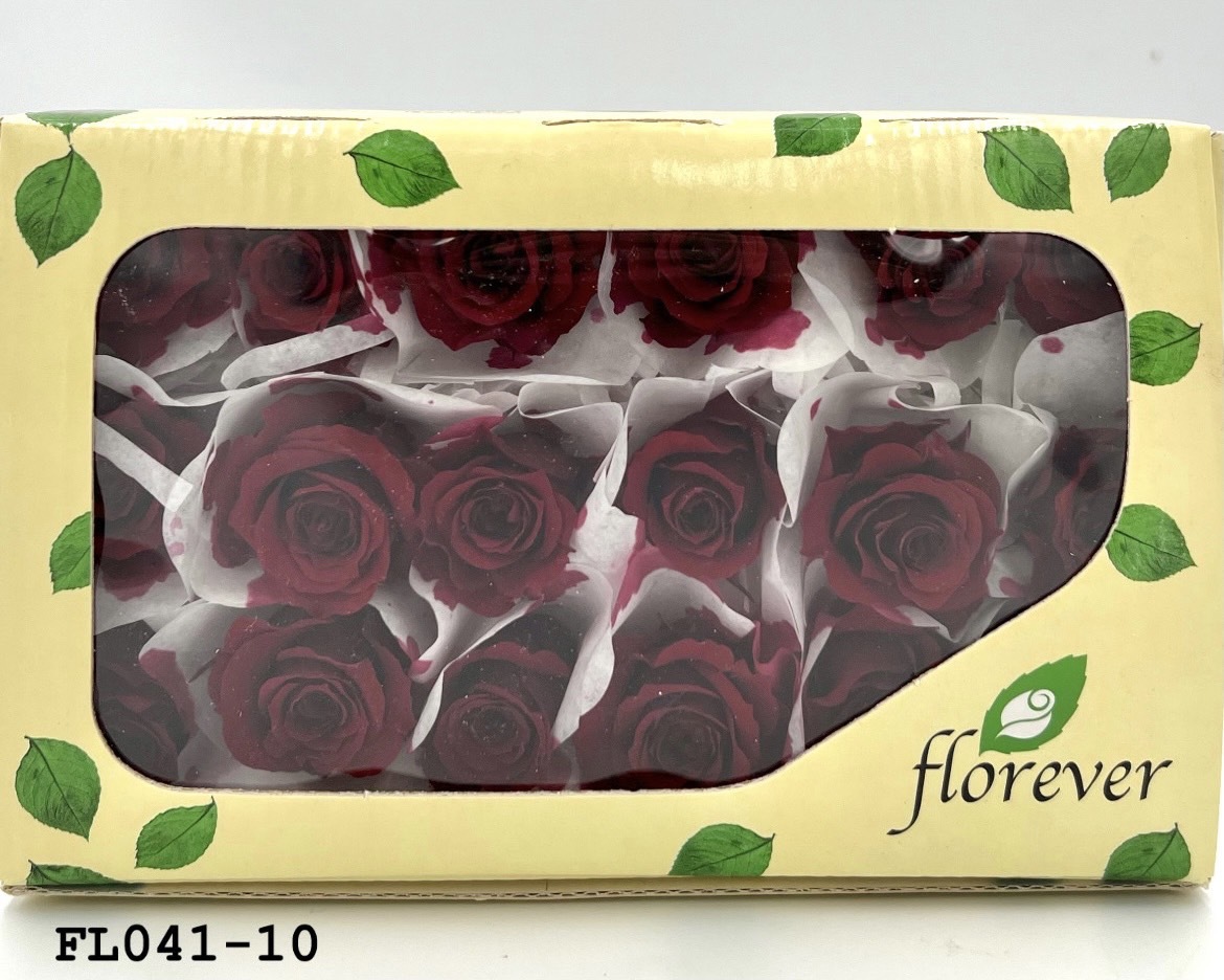 日本不凋小輪玫瑰 (18朵) FL041-10