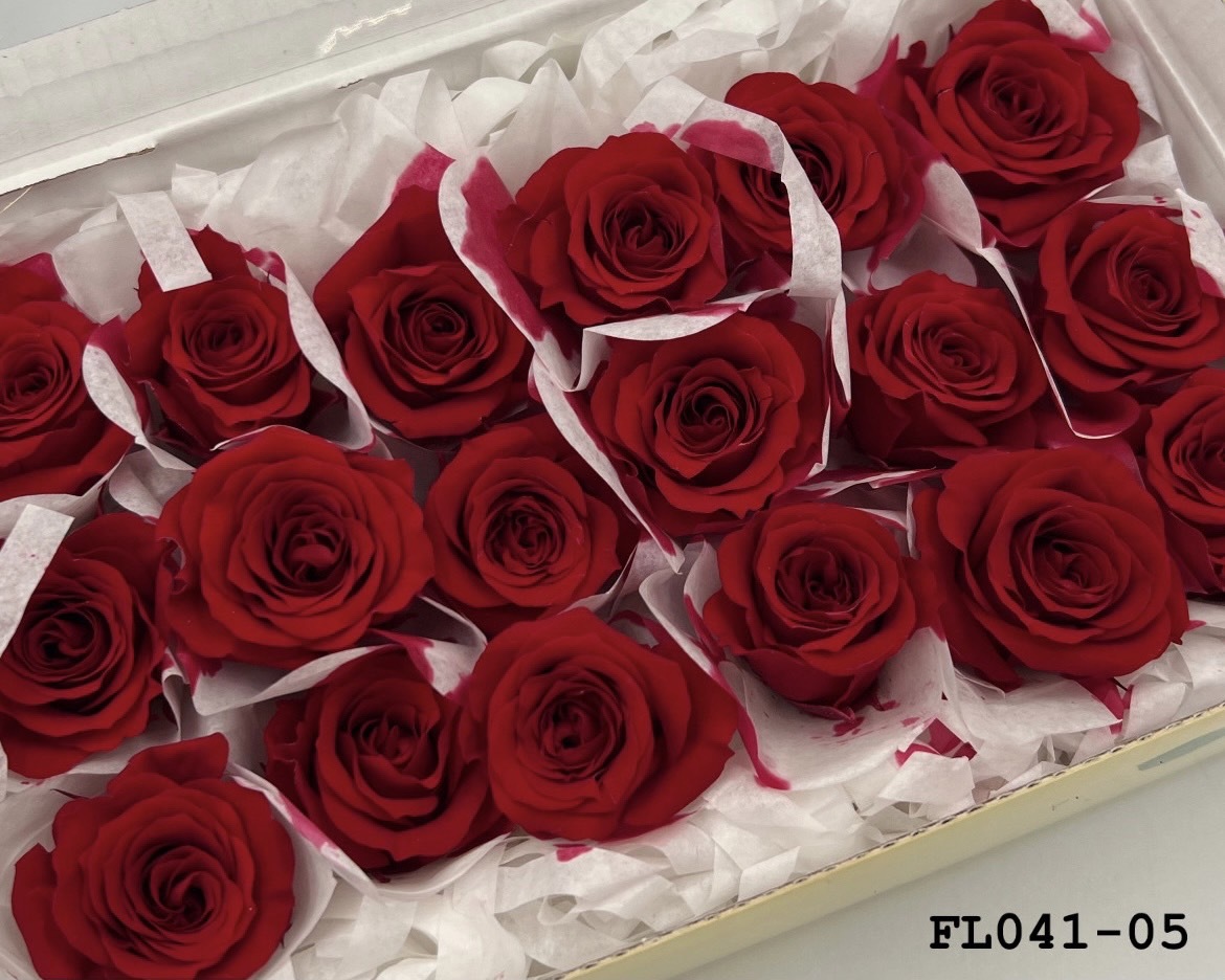 日本不凋小輪玫瑰 (18朵) FL041-05