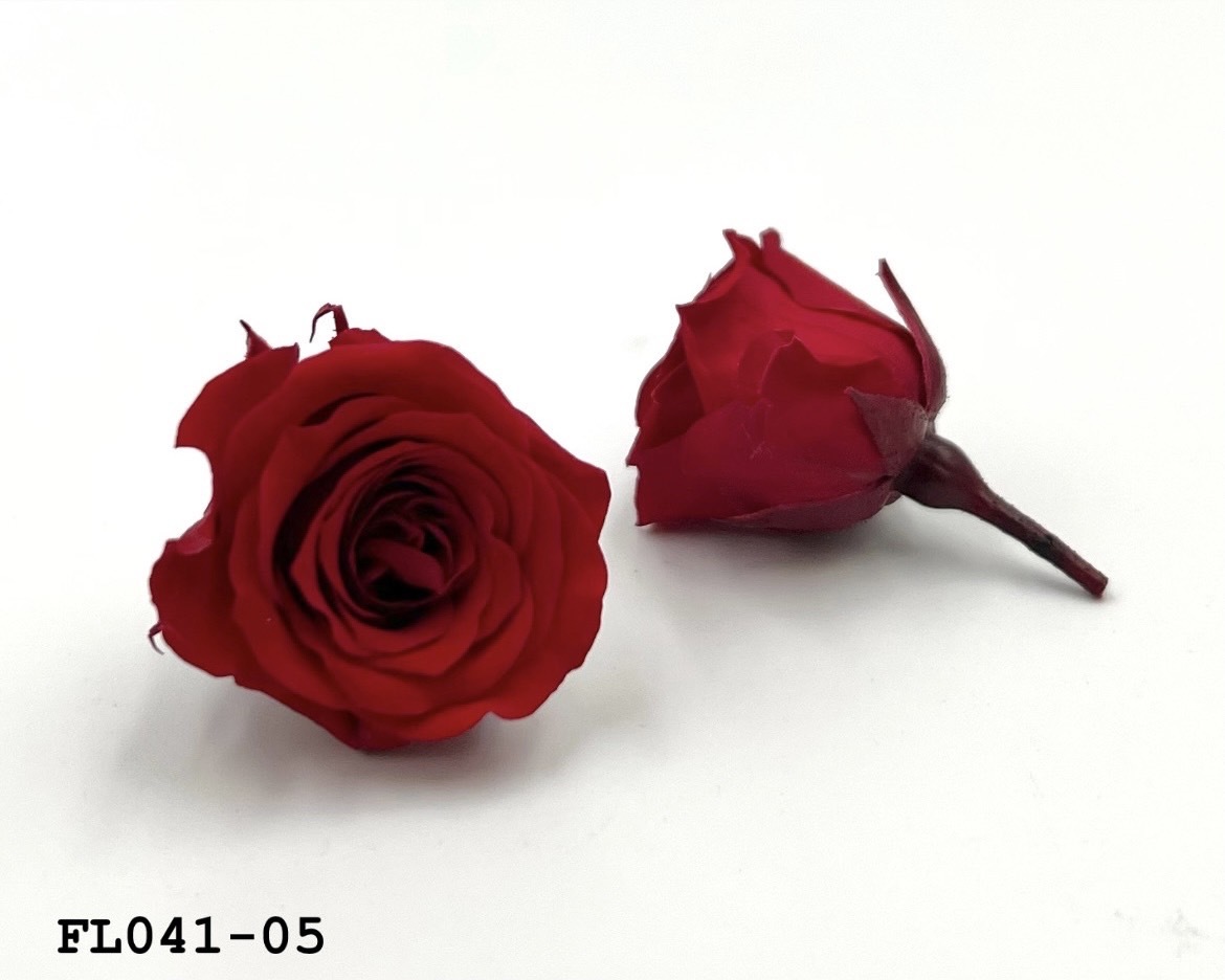 日本不凋小輪玫瑰 (18朵) FL041-05