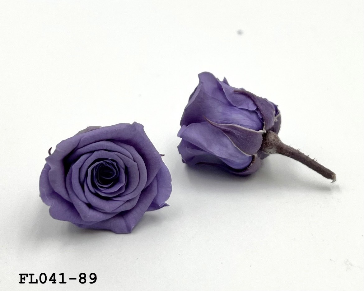 日本不凋小輪玫瑰 (18朵) FL041-89