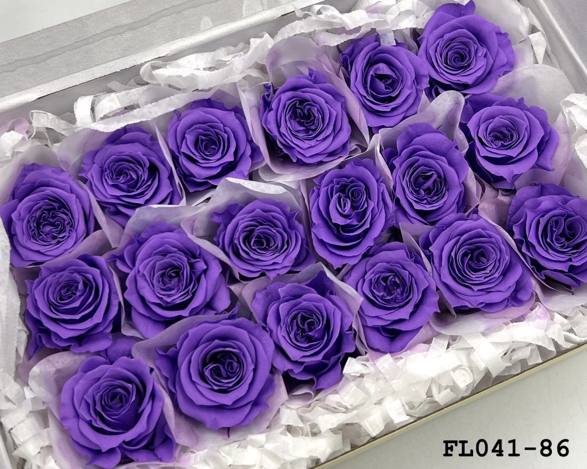 日本不凋小輪玫瑰 (18朵) FL041-86