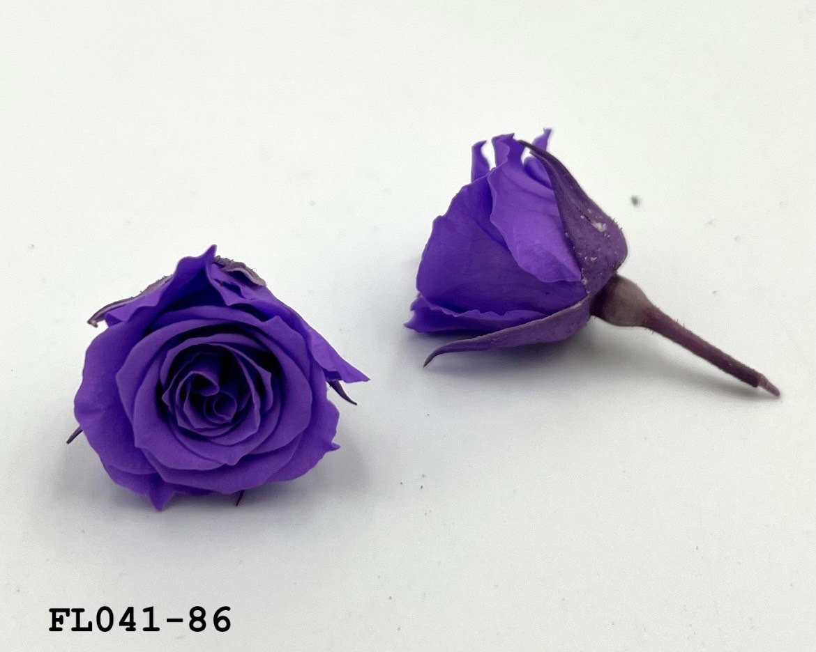 日本不凋小輪玫瑰 (18朵) FL041-86