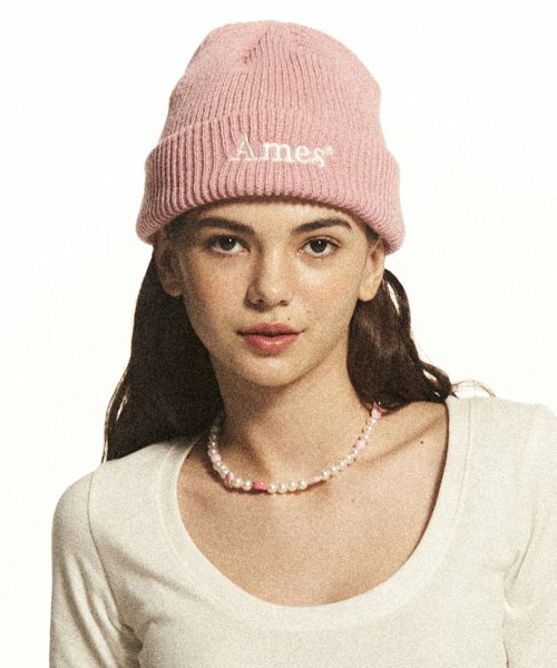 AMES BASIC LOGO BEANIE