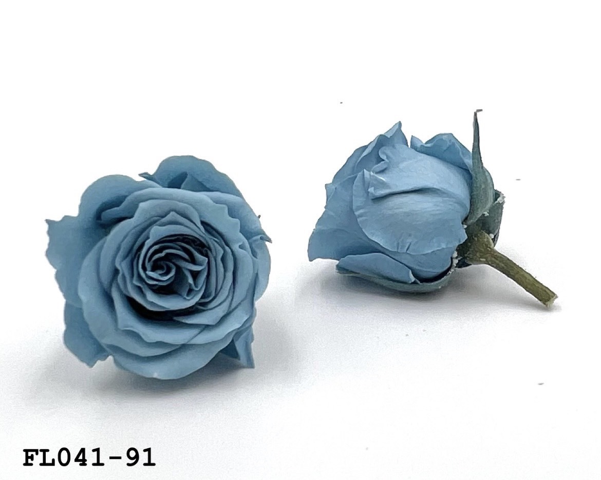 日本不凋小輪玫瑰 (18朵) FL041-91