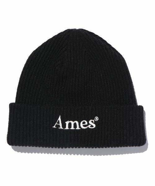 AMES BASIC LOGO BEANIE