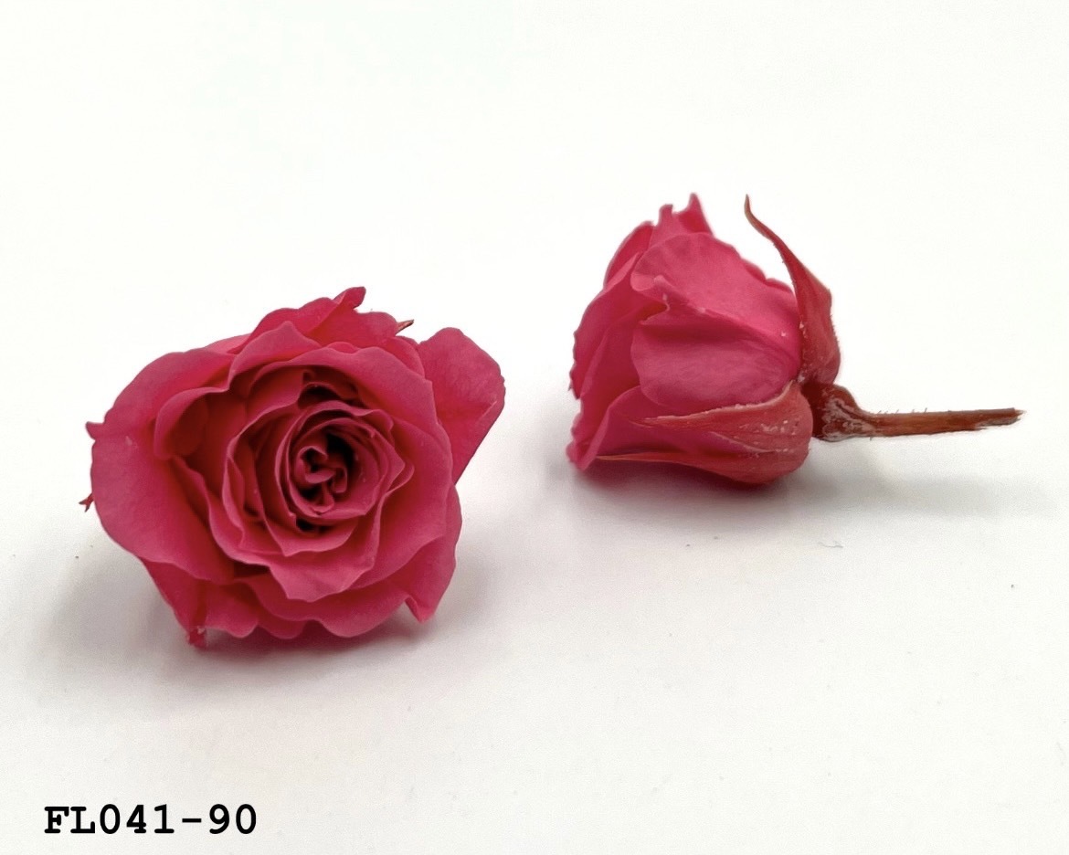 日本不凋小輪玫瑰 (18朵) FL041-90