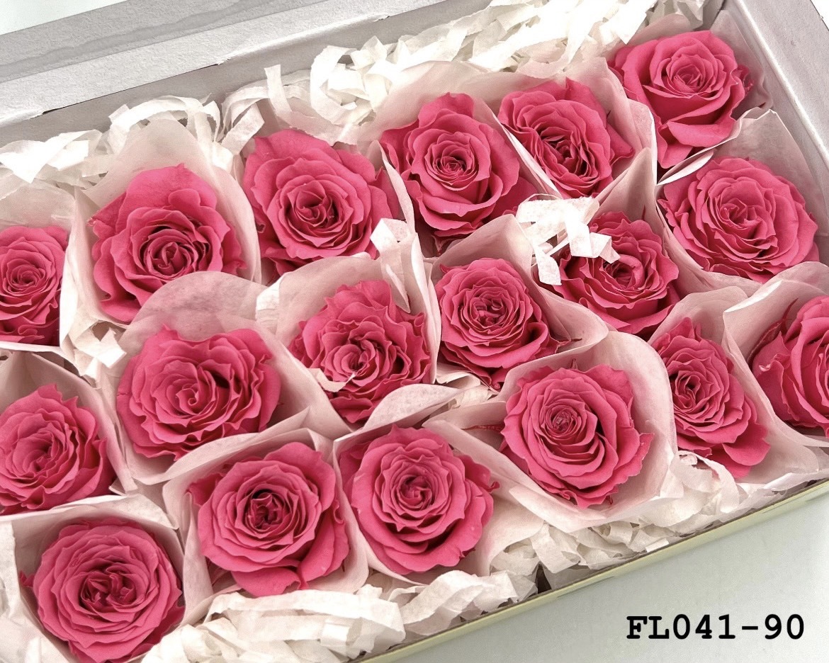 日本不凋小輪玫瑰 (18朵) FL041-90