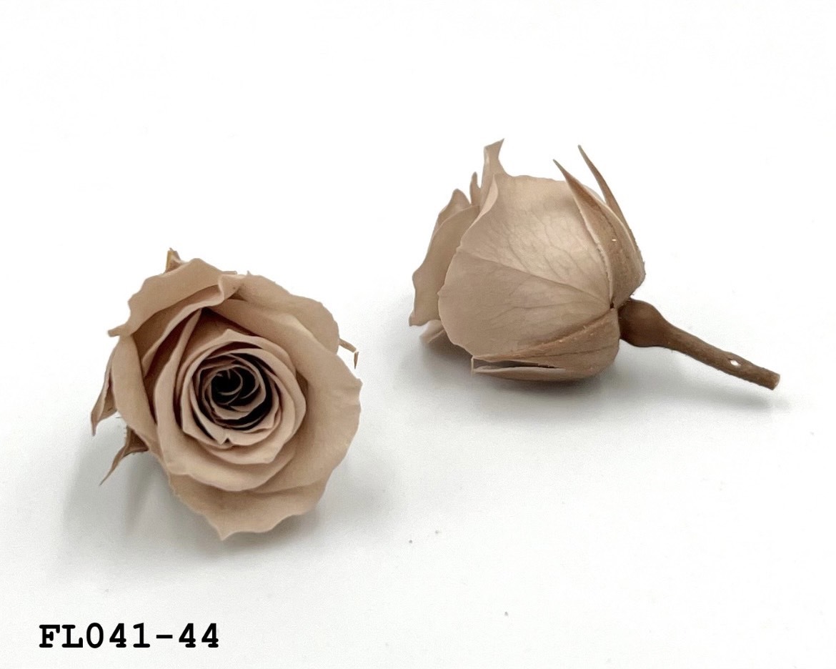 日本不凋小輪玫瑰 (18朵) FL041-44